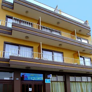 Tejuma ** Puerto de la Cruz (Tenerife)