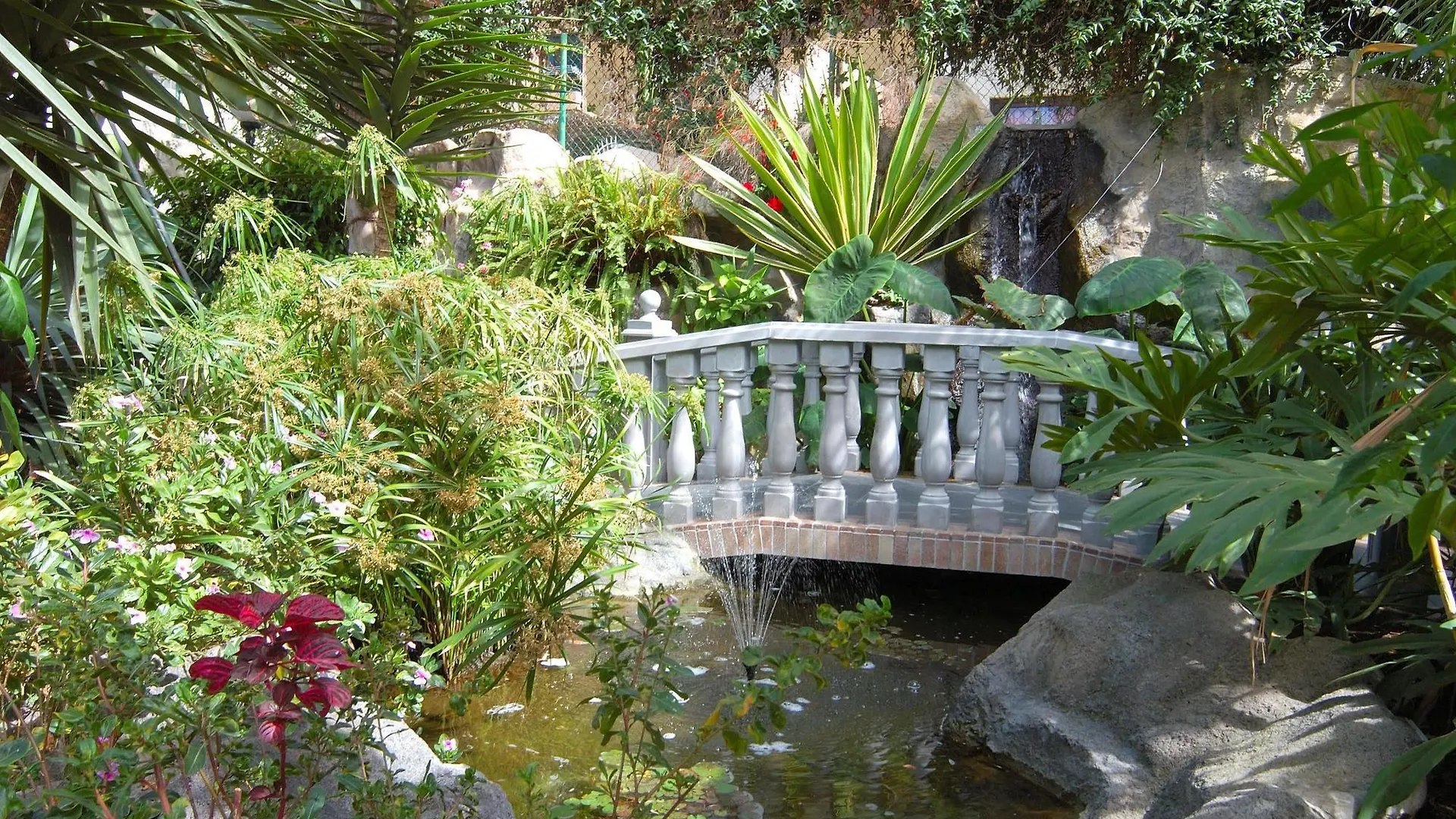 Hotel Don Manolito Puerto de la Cruz  Puerto de la Cruz (Tenerife)
